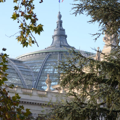 Het Grand Palais is een grote glazen tentoonstellingshal die gebouwd is voor de Wereldtentoonstelling van 1900 in Parijs. Het Grand Palais is gelegen aan de Avenue Winston Churchill 8e arrondissement (Parijs). Het Grand Palais of meer officieel het Grand Palais des Champs-Élysées maakt als expositiegebouw sinds 1 januari 2011 deel uit van de Réunion des musées nationaux et du Grand Palais des Champs-Élysées (Rmn-Grandpalais). Het werd gelijktijdig met het Petit Palais en de Pont Alexandre III gebouwd, en heeft een imposante neoclassicistische façade met veel art-nouveau-smeedijzerwerk.